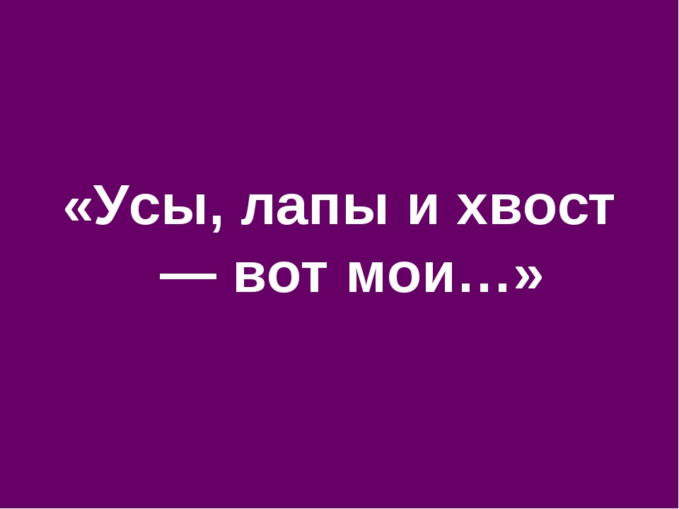 Усы лапы хвост чебоксары. Усы лапы и хвост вот Мои доказательства. Усы лапы и хвост вот Мои документы.