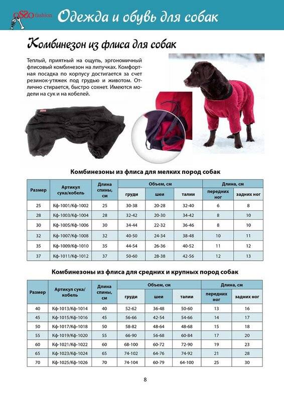 Как определить размер одежды для собаки? таблицы соответствия