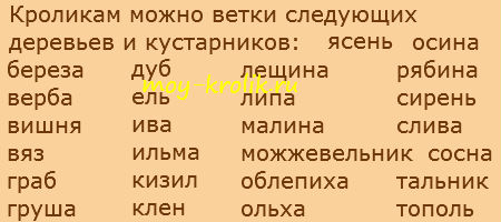 Какие ветки можно давать кроликам и для чего это нужно?