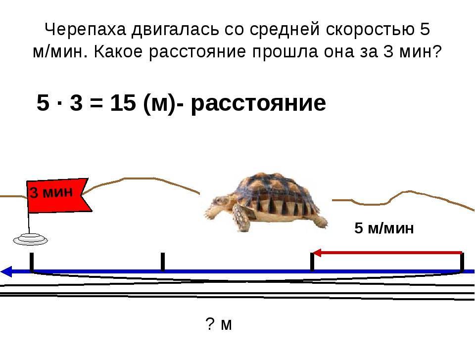 На какую глубину способна погружаться морская черепаха?. новейшая книга фактов. том 1 [астрономия и астрофизика. география и другие науки о земле. биология и медицина]