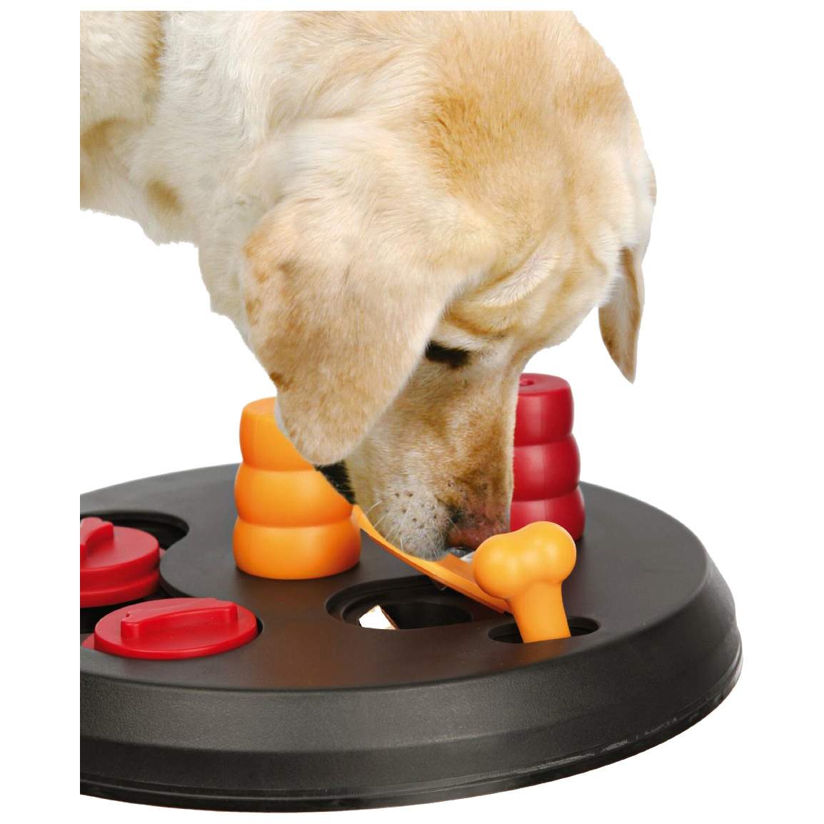 ᐉ какие бывают интеллектуальные игрушки для собак? - ➡ motildazoo.ru