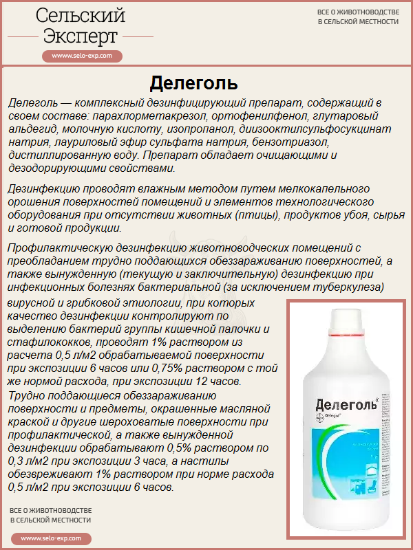 Дезинфекция кроличьих клеток: что применять для дезинфекции, пошаговая инструкция проведения