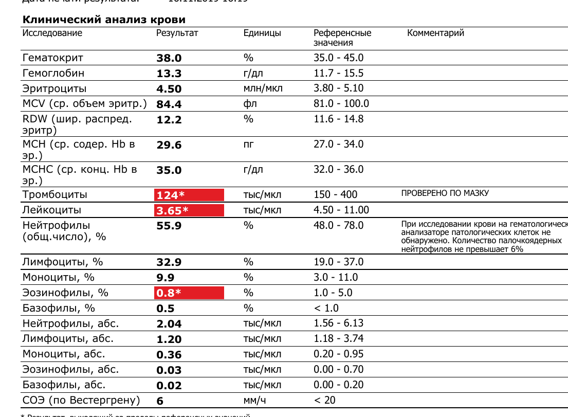 Что делать, если у кошки понижены лейкоциты в крови?