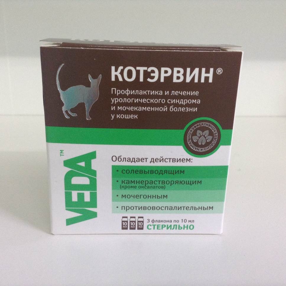 Слабительное для кошки: препараты и средства