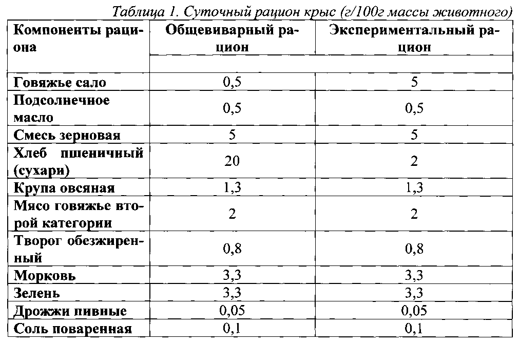 Чем кормить домашнюю крысу, чем питается, что ест крыса
