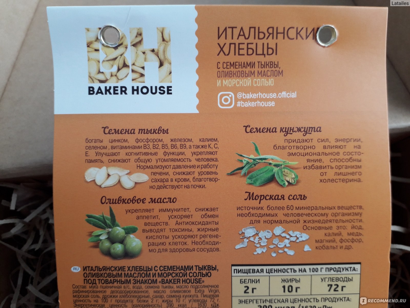 Завести дегу: плюсы и минусы содержания белки дома