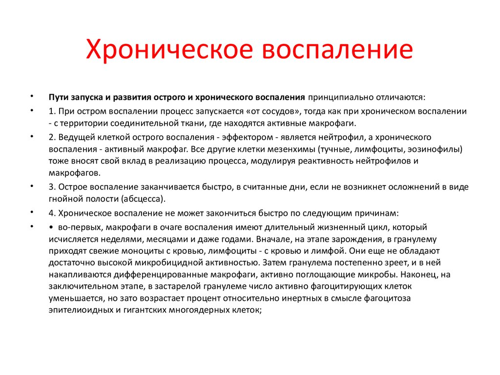 Пневмония у собак: симптомы, лечение, антибиотик в домашних условиях, аспирационная пневмония - блог о животных - zoo-pet.ru