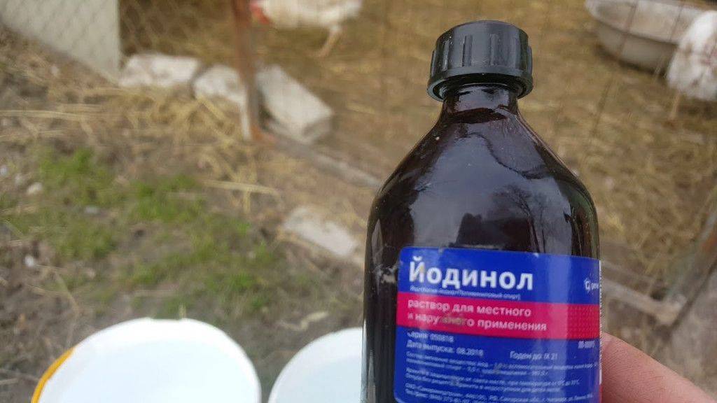 Йодинол: инструкция по применению для кроликов, как разводить, дозировка