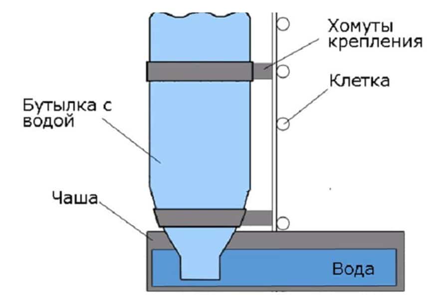 ᐉ делаем ниппельные поилки для кроликов своими руками - zooon.ru