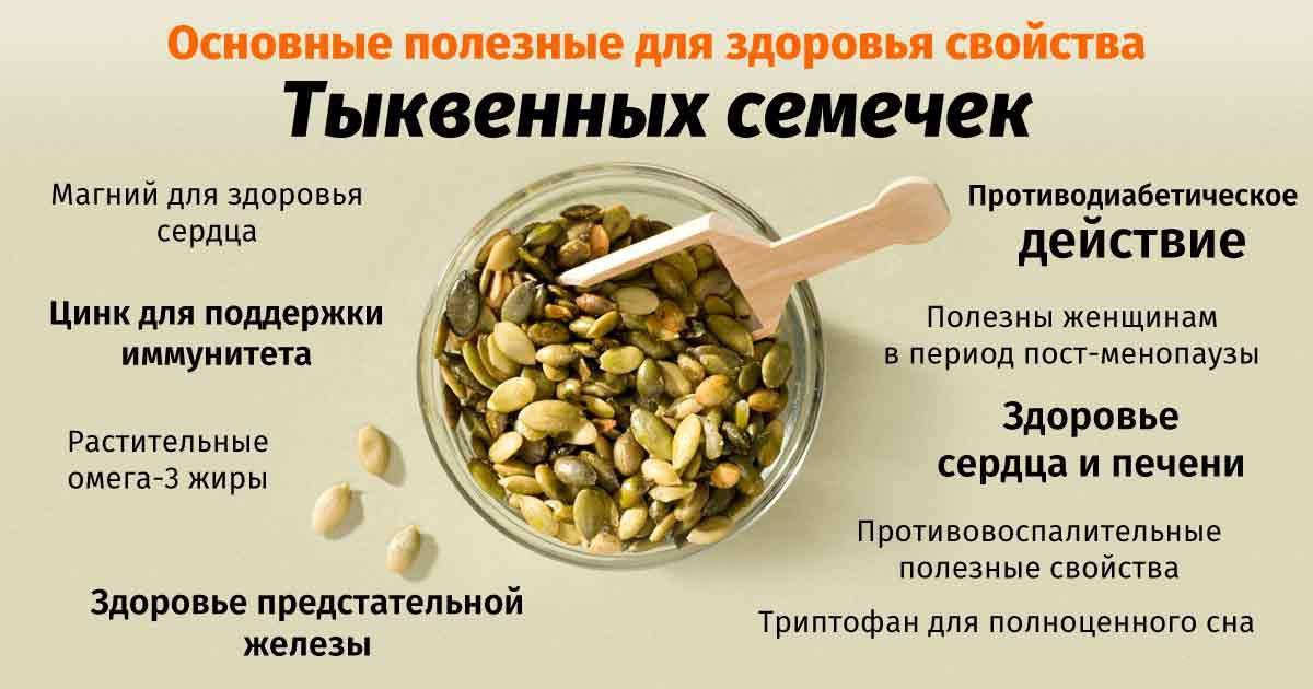 Как содержать белку в домашних условиях: сколько живут, как кормить и ухаживать