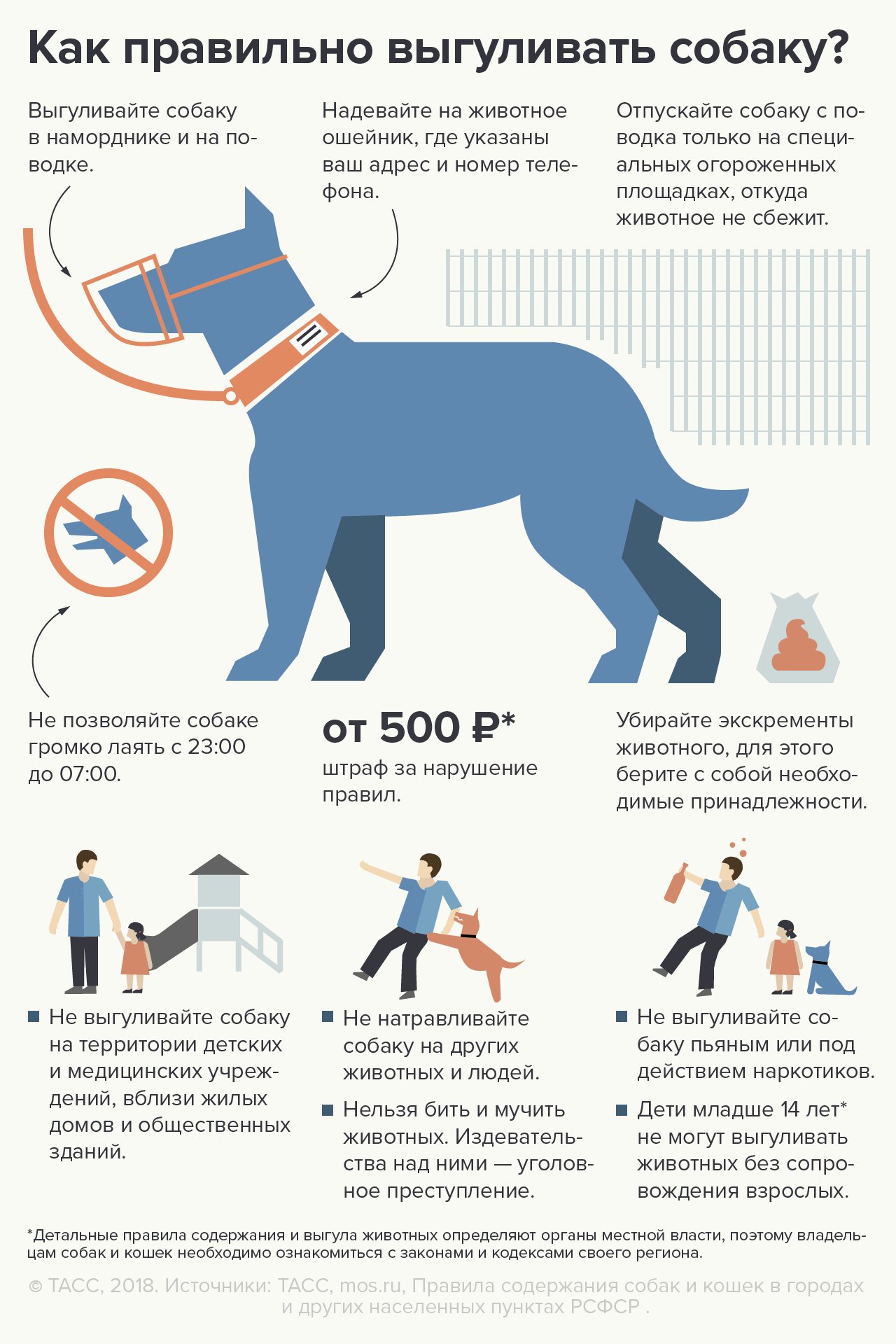 Закон о выгуле собак на 2020 год: запреты, штрафы, поправки