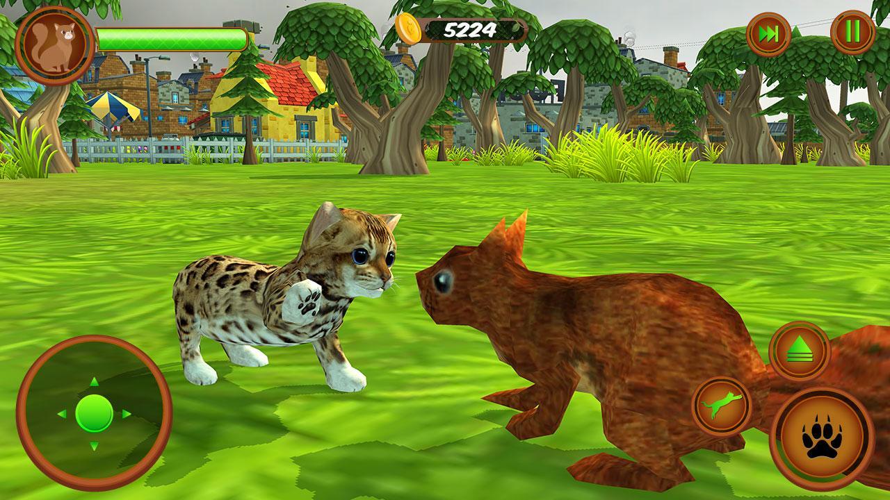 Игры для кошек картинки