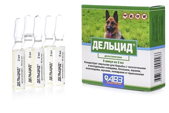 Инструкция по применению препарата дельцид (2 мл)
