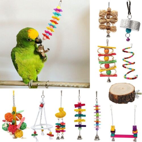 (обновлено) игрушки для попугаев: волнистых и неразлучников, крупных, средних и маленьких, как выбрать и можно ли сделать своими руками