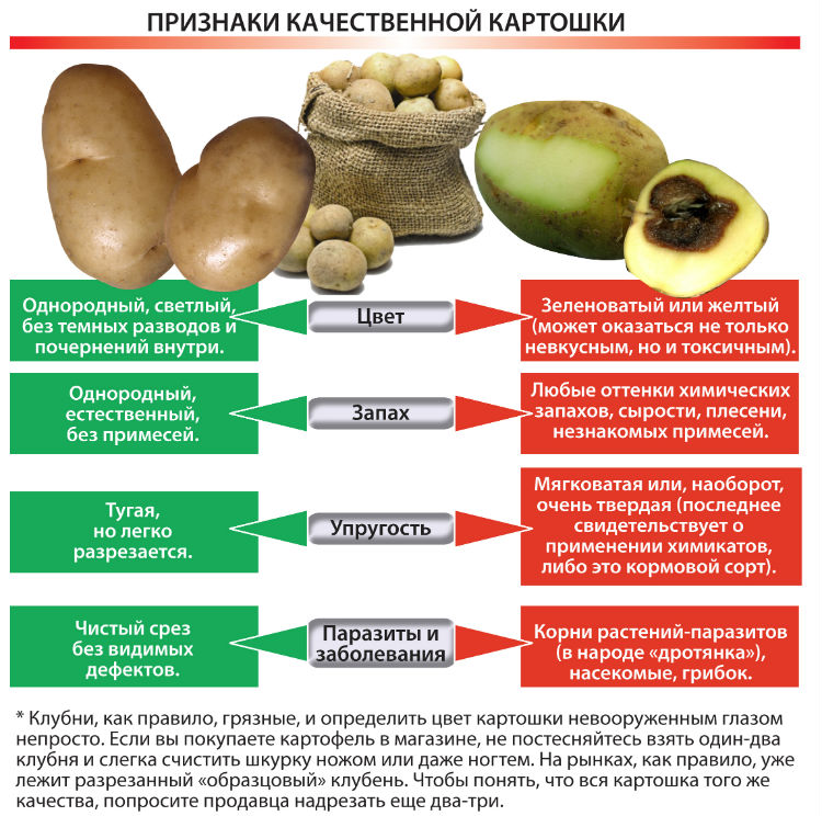 Можно ли хомякам картошку сырую и вареную?