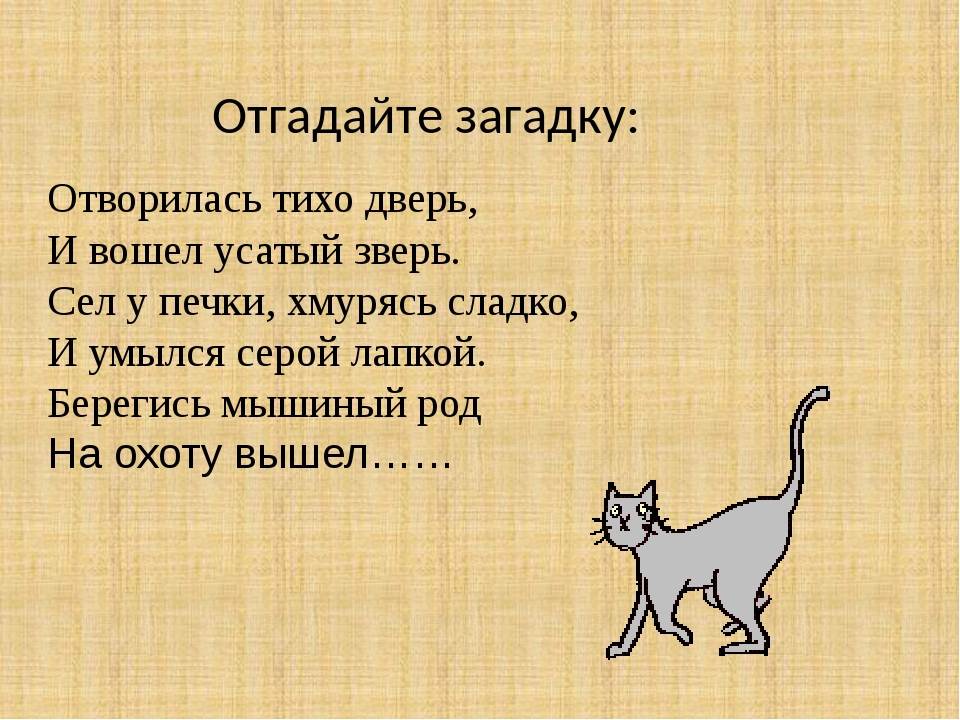 Загадки про кошек и котов