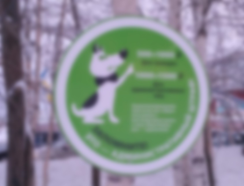 Новые правила выгула собак в городе, согласно закону рф, вступили в силу в 2019 году, но все расширенные правила касаемо животных будут действовать с 2021 года