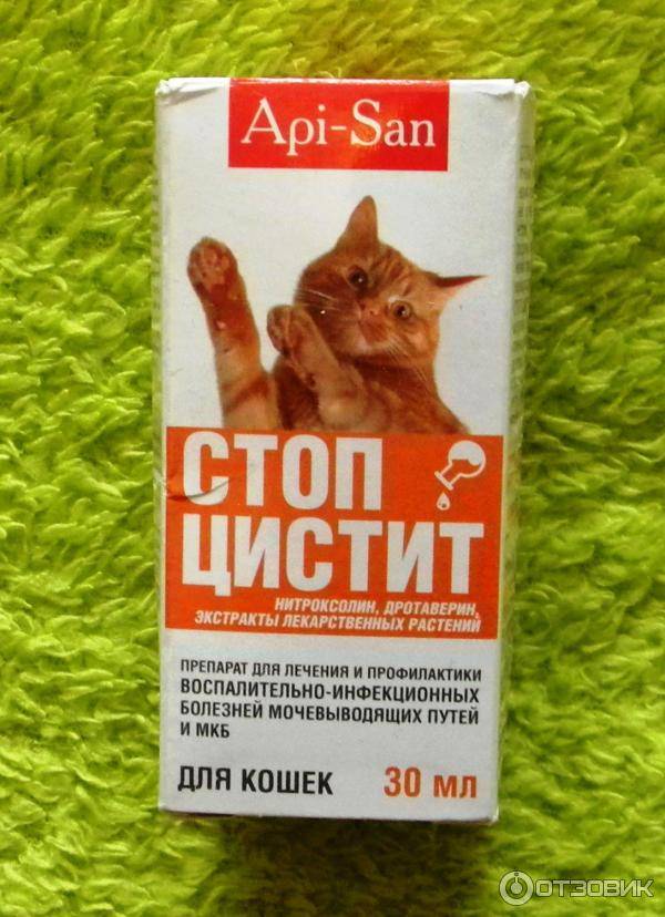 Стоп цистит для кошек и котов: инструкция по применению таблеток и суспензий, отзывы