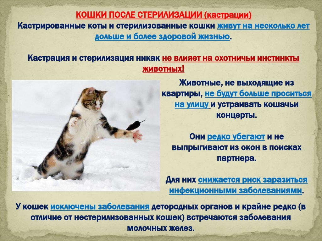 Ночной энурез у взрослых: лечится ли недержание мочи?