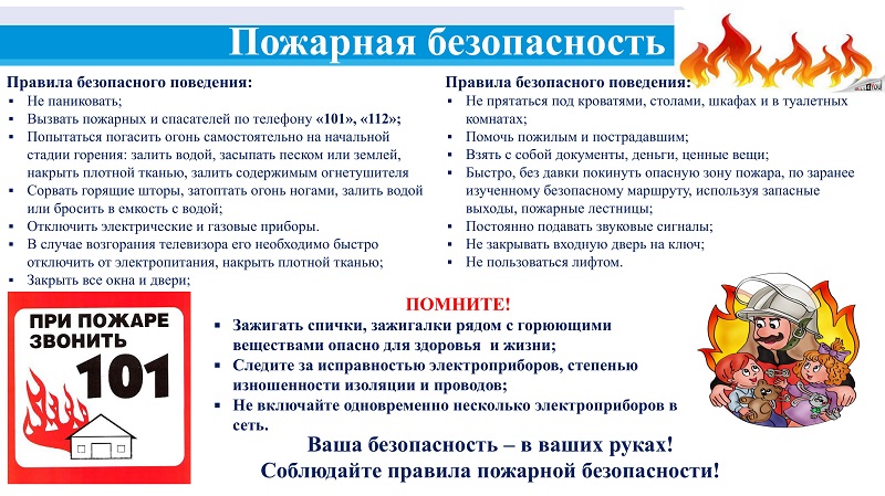 Закон и правила выгула собак в россии: где можно гулять, а также о намордниках, поводках и ответственности за их отсутствие