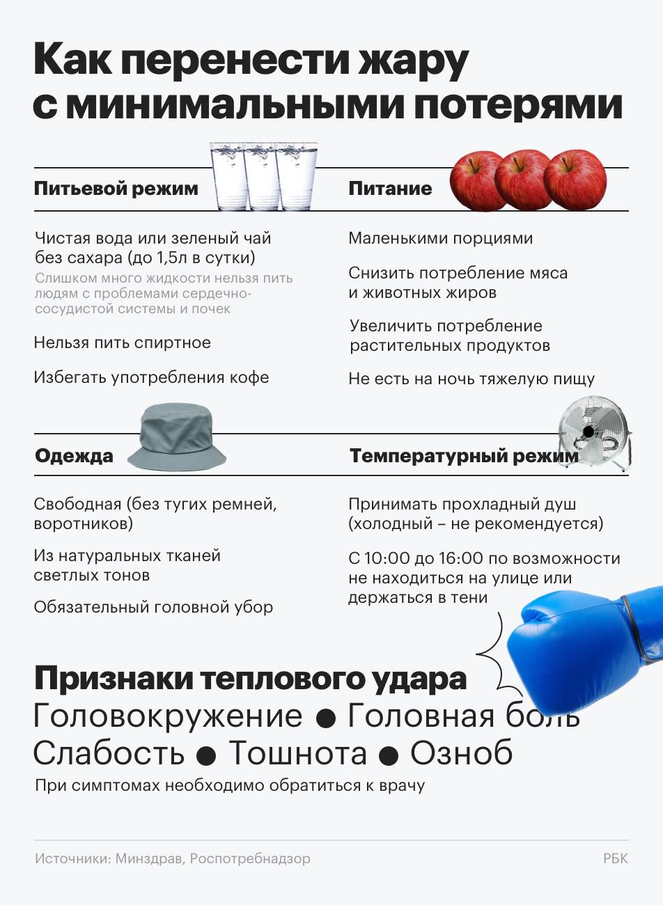 Как помочь кошке в летнюю жару