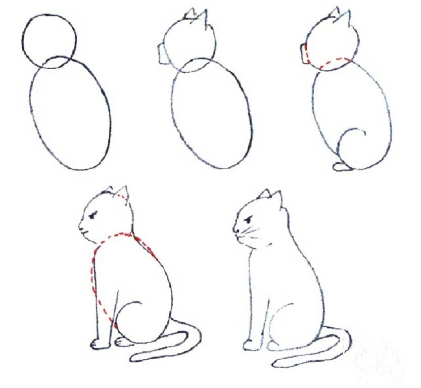 Как легко и красиво нарисовать кошку карандашом: инструкция для начинающих