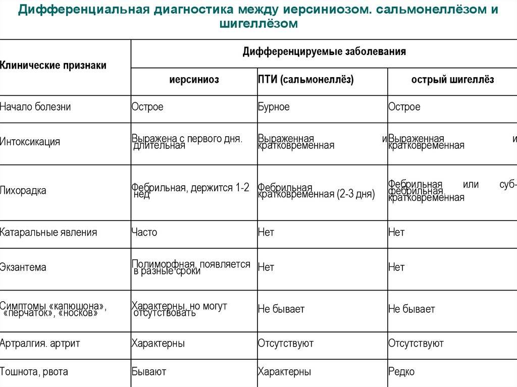 Микоплазмоз у крыс: симптомы и лечение