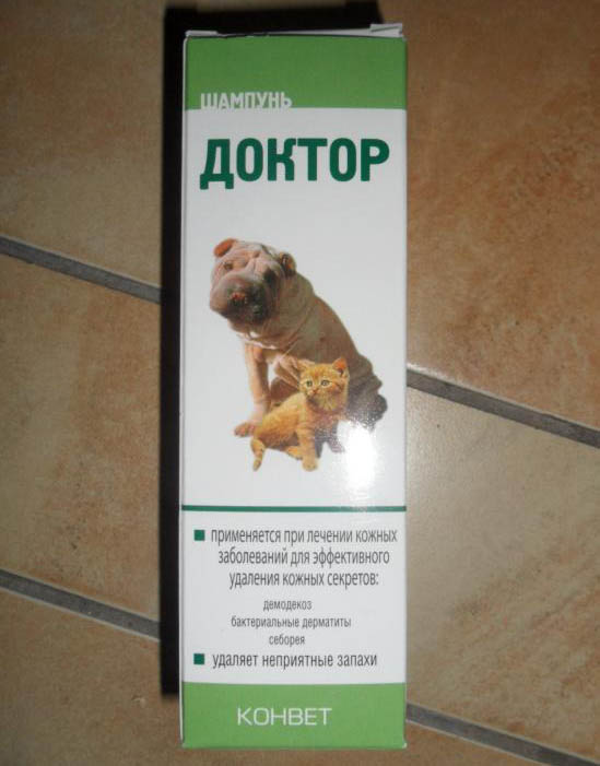 Как аллергику жить с кошкой — блог медицинского центра он клиник