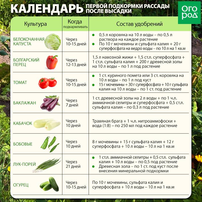 Какие овощи и зелень можно собаке?