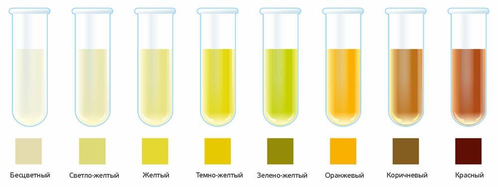 Нормальный цвет мочи у здорового человека и причины его изменений