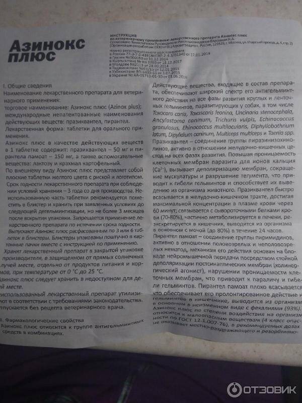 Страйд плюс для собак
