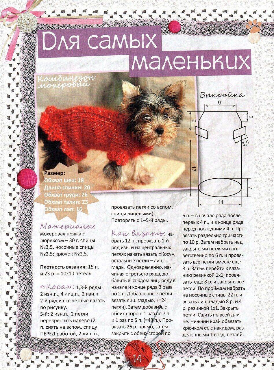 Схема вязания спицами свитера для собаки чихуа