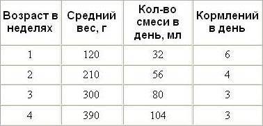 Кормление котят от рождения до 3-х месяцев