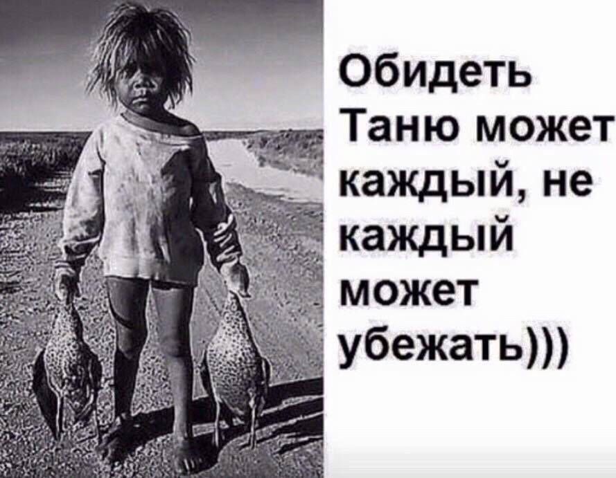 Кот ушел из дома: когда он вернется обратно, почему кошки убегают и не возвращаются, как их вернуть?