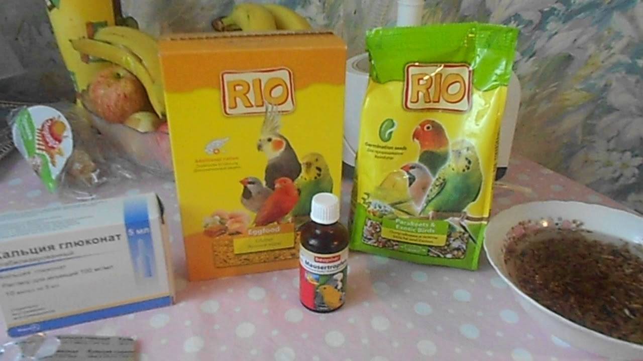 (обновлено) витамины для попугаев (волнистых, корелла, жако, неразлучников): какие нужны, как давать и в каких дозах?