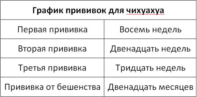 Все о прививках для собак
