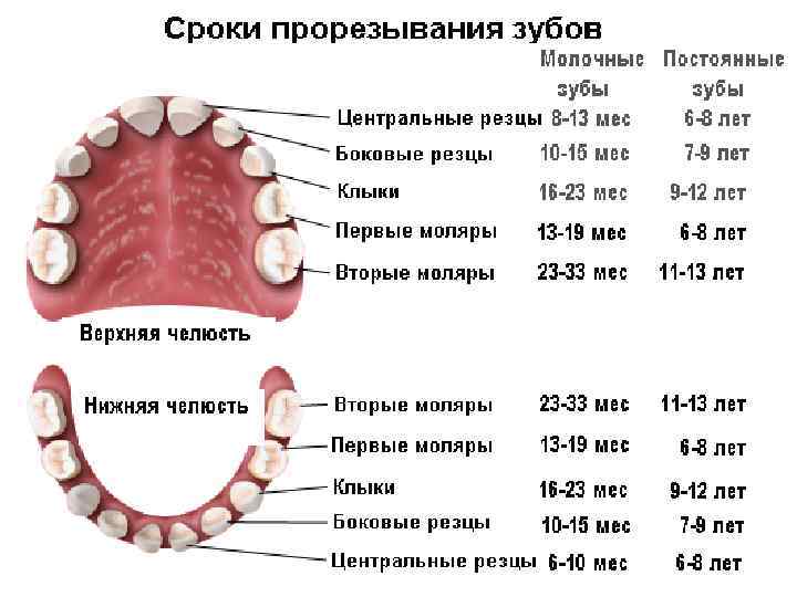 Можно зубы температура