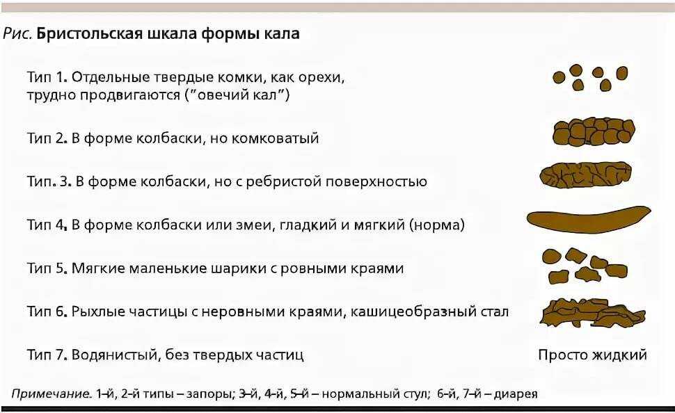 Что можно дать коту от поноса?