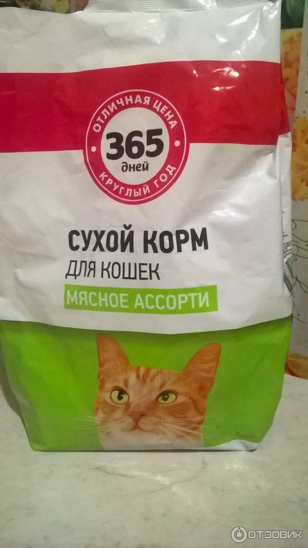 Недорогой качественный корм для кошек