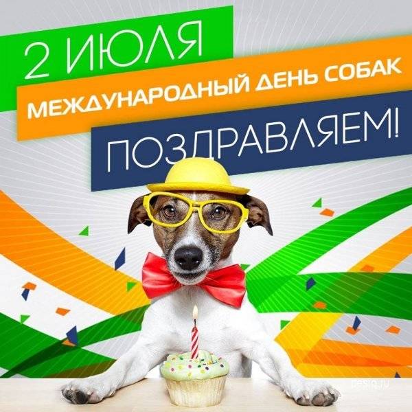 День собак во всех странах