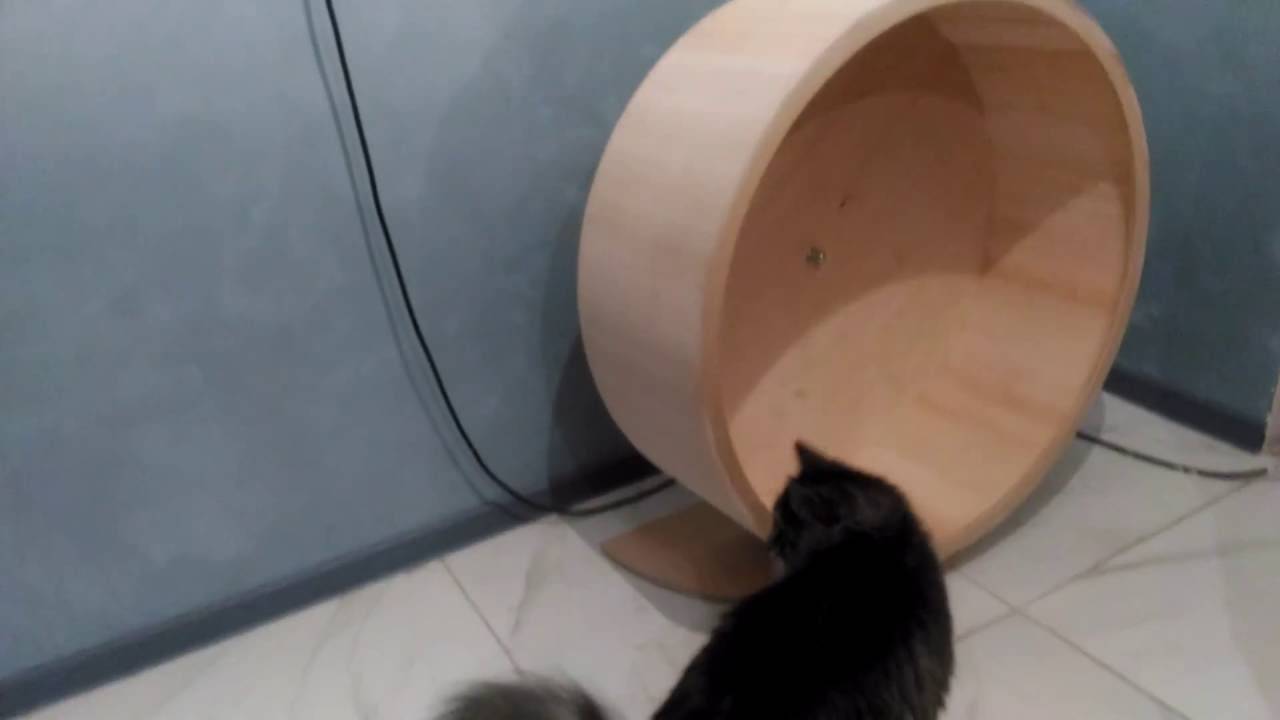 Kit конструктор бегового колеса для кошек