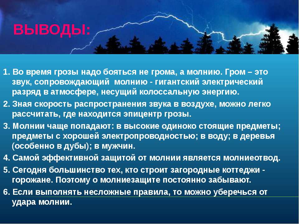 Как успокоить собаку во время грозы: 12 шагов