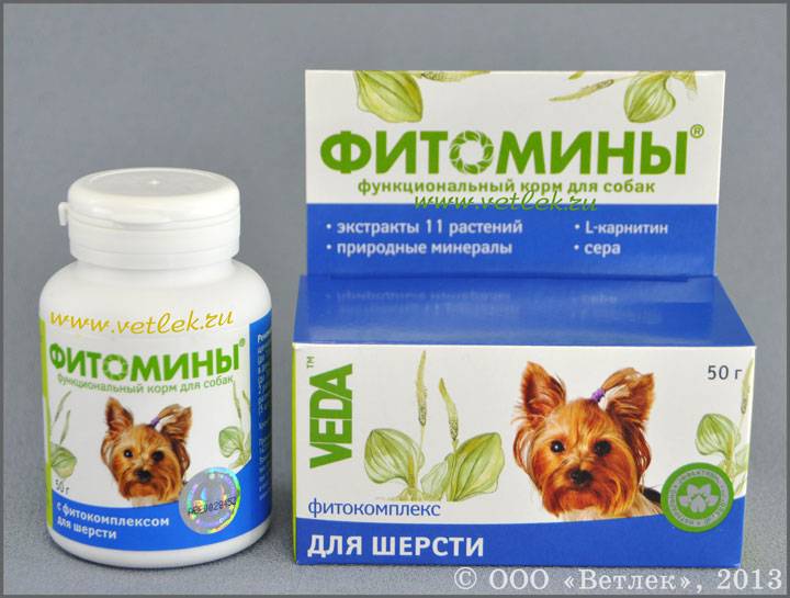 Выбираем правильно витамины для шерсти собак