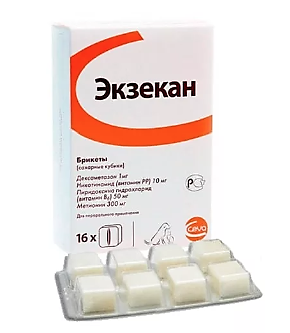 Экзекан: инструкция по применению для кошек, показания, видео, отзывы