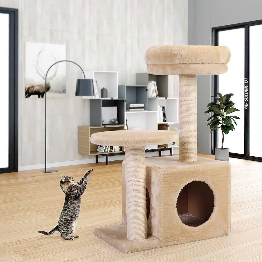 Креативные идеи домика для кошки
