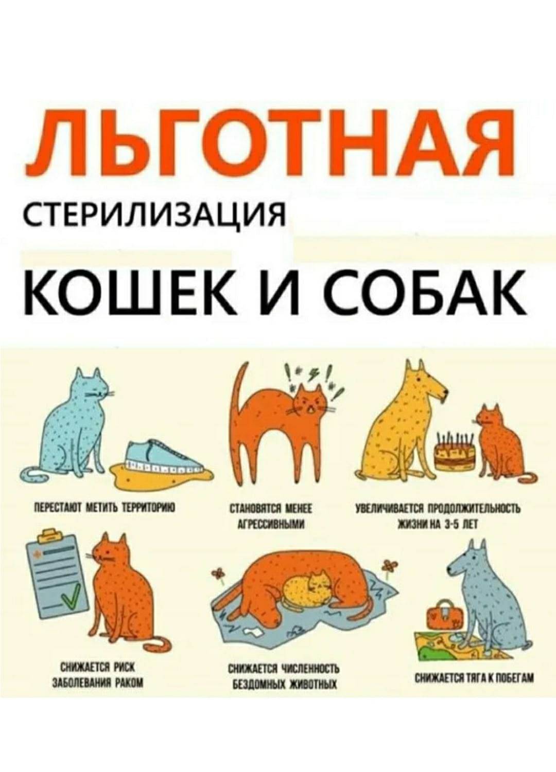 Кастрация собак мелких и крупных пород на дому и в стационаре. ветеринарная клиника мосветскорая