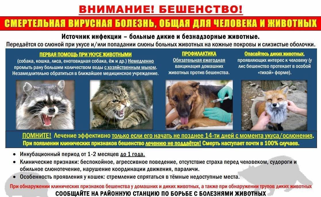 Можно ли заразиться раком?