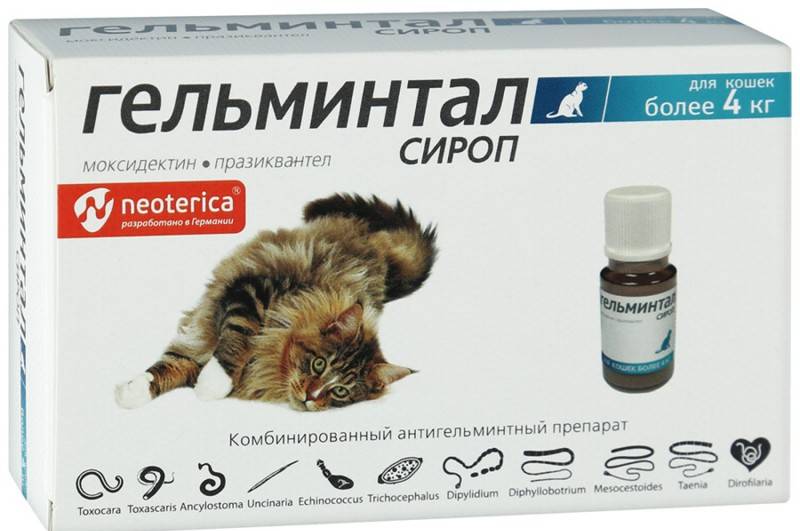 Лучшие препараты от глистов для кошек широкого спектра - kupipet.ru