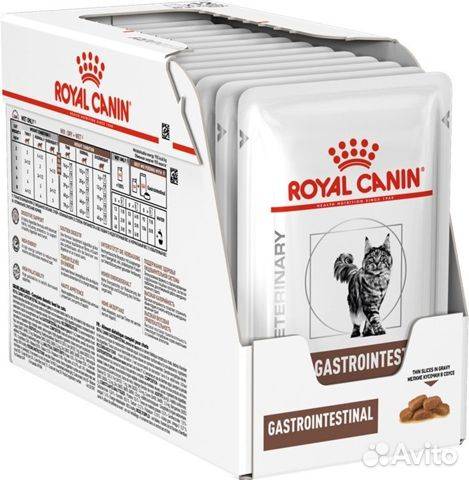 Обзор кормов для кошек royal canin
