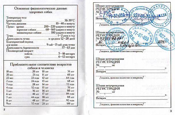 Паспорт собаки образец заполнения ветеринарный